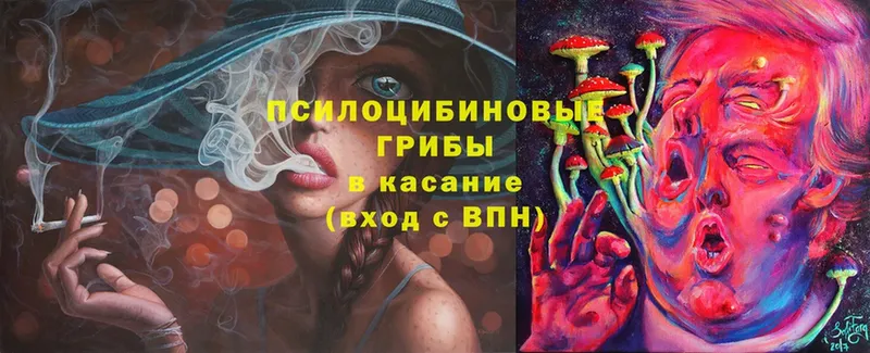 гидра как зайти  Мытищи  Галлюциногенные грибы Magic Shrooms 